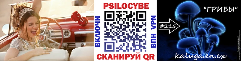 Псилоцибиновые грибы Cubensis это клад Черняховск