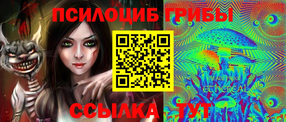 Псилоцибиновые грибы ЛСД  Вход с VPN  Черняховск 